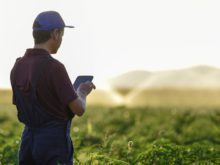 Cover image for Precision agriculture