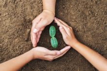 featured image for Environment Day & the role of precision farming